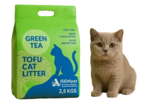 Green Tea Tofu Cat Litter with British Shorthair Cat in Lifestyle Photo by ISEMIPET