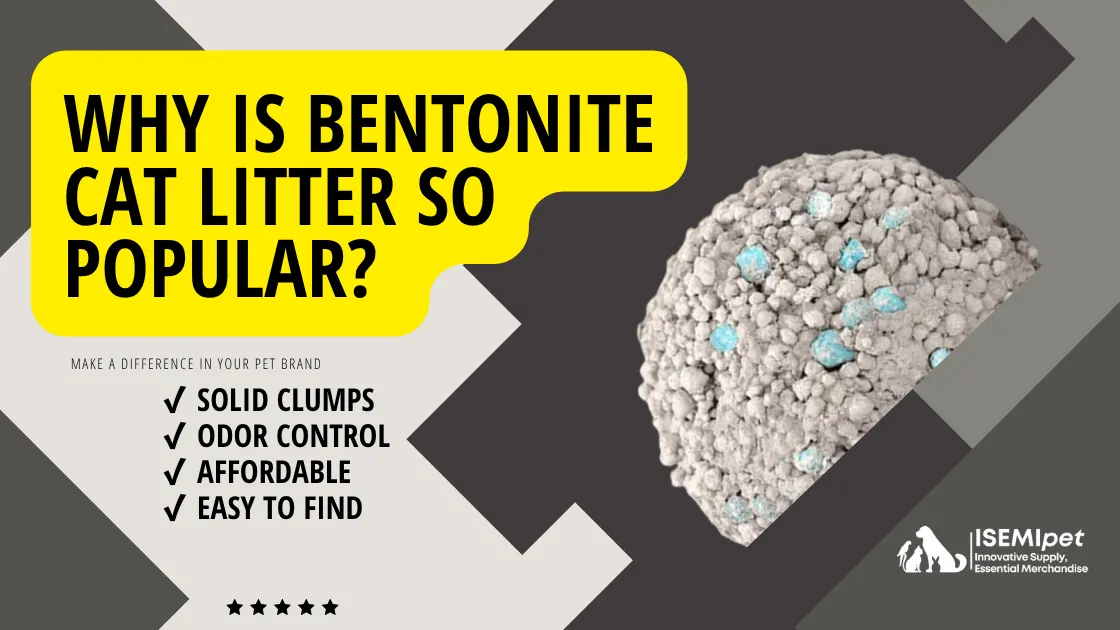 Clumped bentonite cat litter with blue deodorizing beads and bold yellow title asking why it is so popular