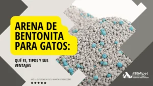Arena de bentonita gris con partículas azules, acompañada de título explicativo sobre tipos y ventajas.