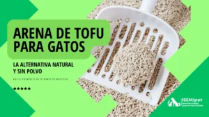 Arena de tofu para gatos con pala blanca, mostrando bola de aglomeración natural y fondo verde claro.
